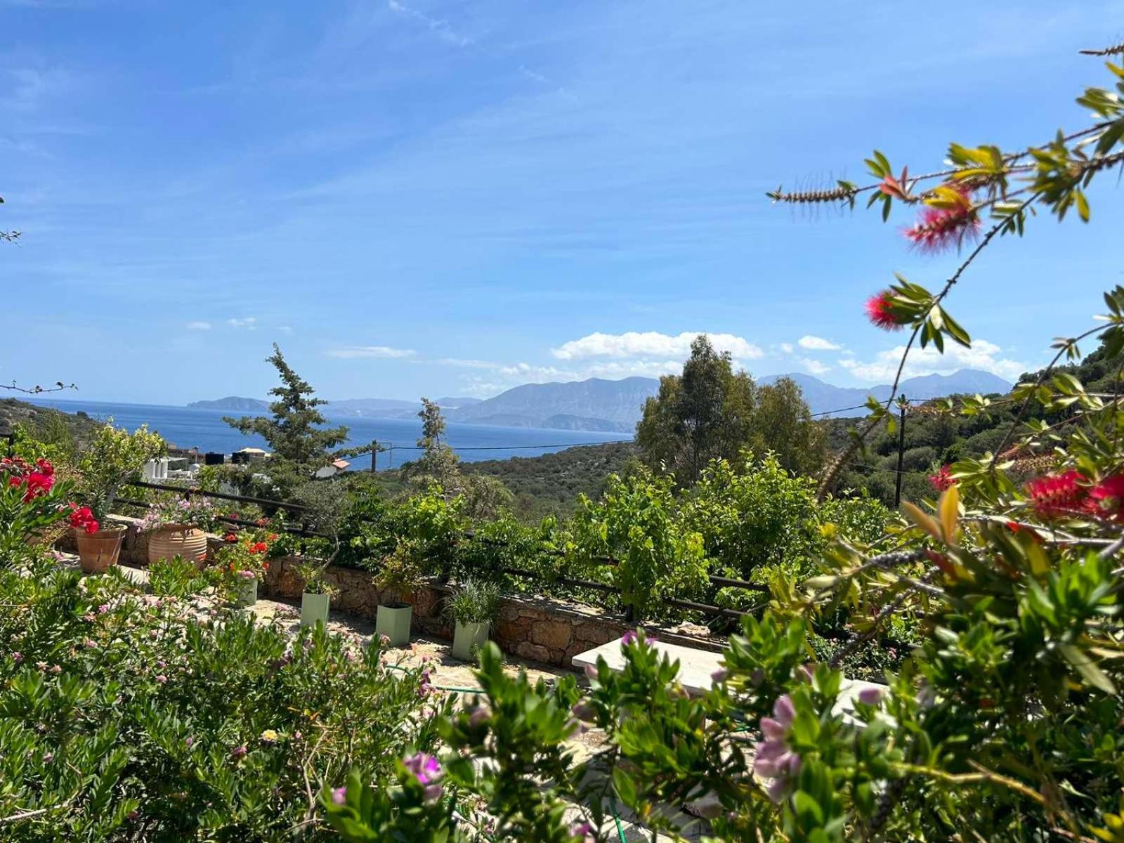 Fissi Villas Agritourism Accommodation Near The Sea Agios Nikolaos  Exterior photo